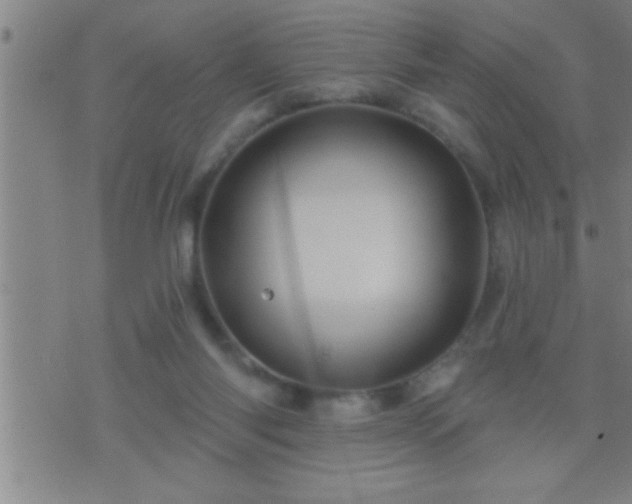 X0000075900118200609221946