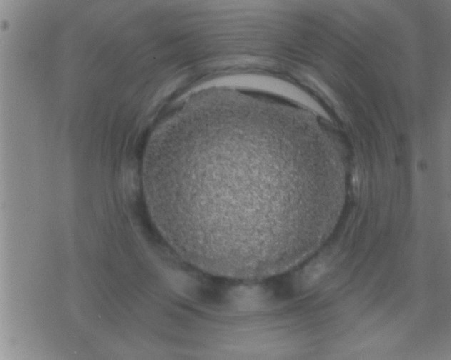 X0000075900119200609221946