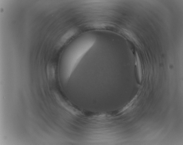 X0000075900120200609221946