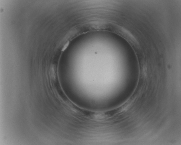 X0000075900121200609221946