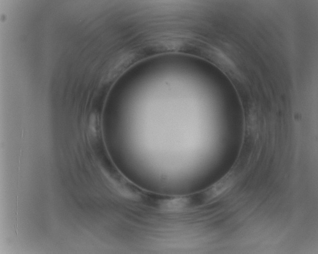 X0000075900122200609221946