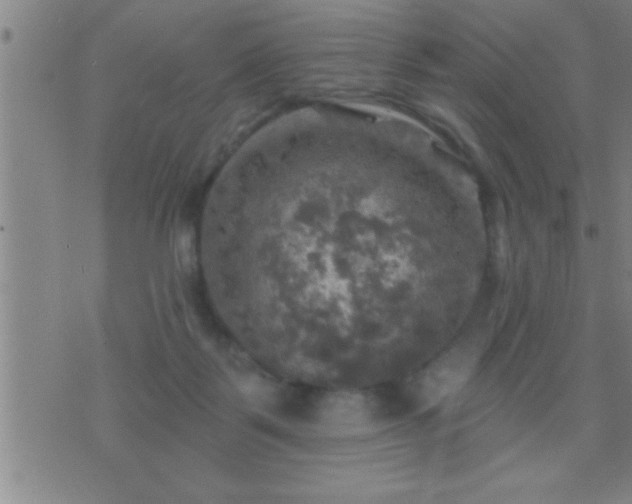 X0000075900123200609221946