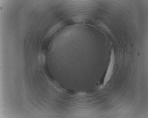 X0000075900124200609221946