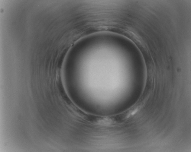 X0000075900125200609221946