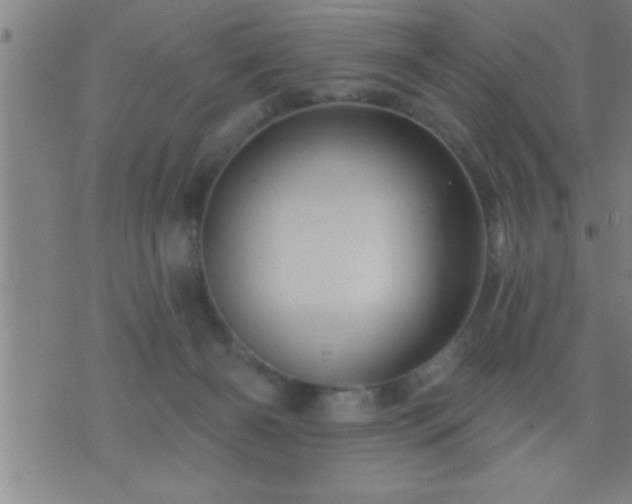 X0000075900126200609221946