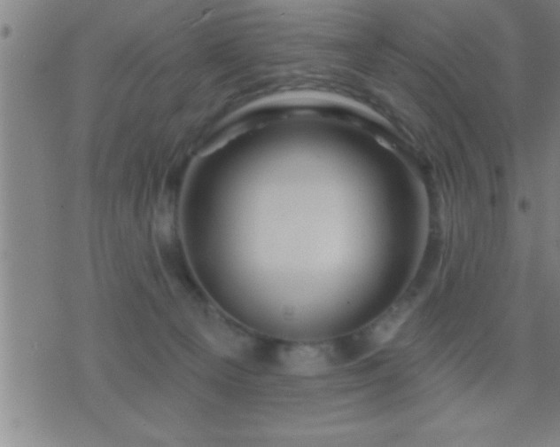 X0000075900129200609221946