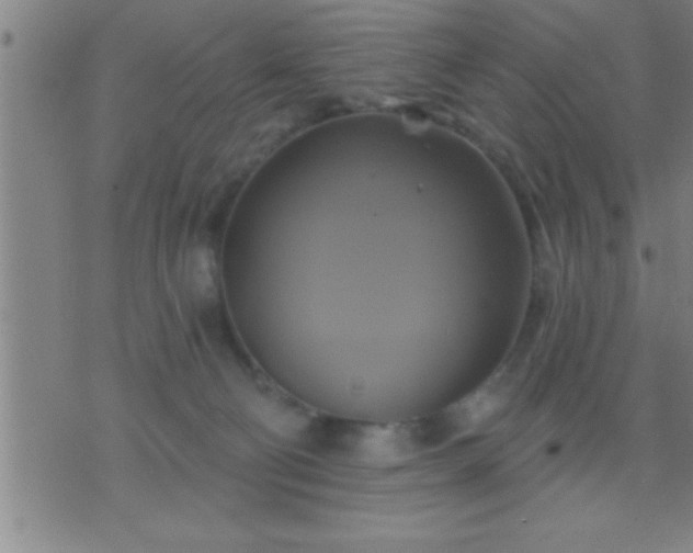 X0000075900130200609221946