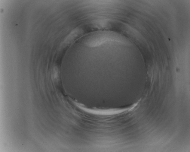 X0000075900132200609221946