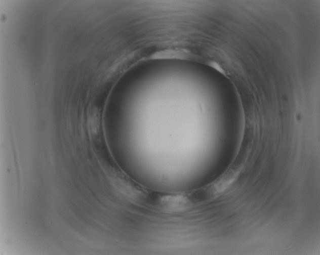 X0000075900133200609221946