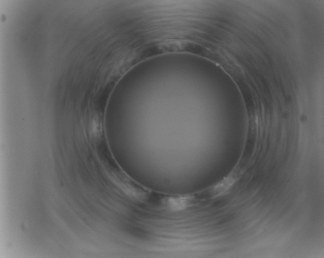 X0000075900134200609221946