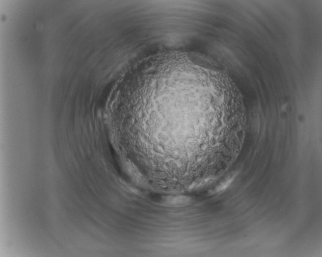 X0000075900135200609221946