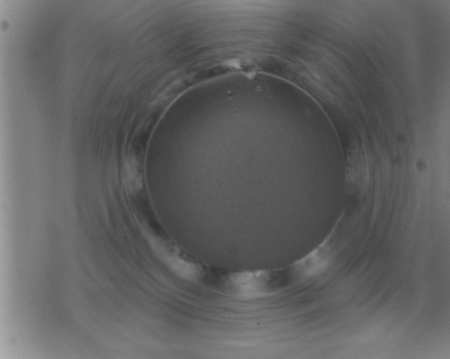 X0000075900136200609221946