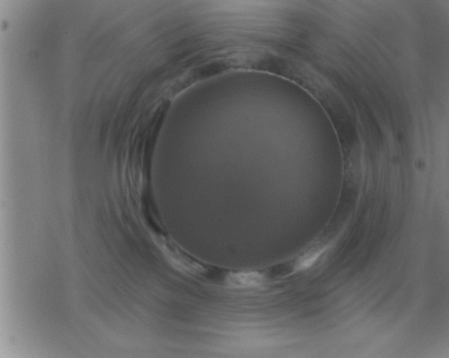 X0000075900137200609221946