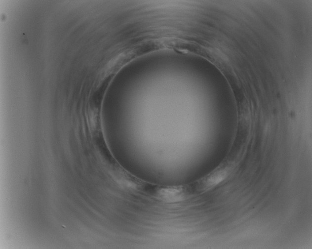 X0000075900139200609221946