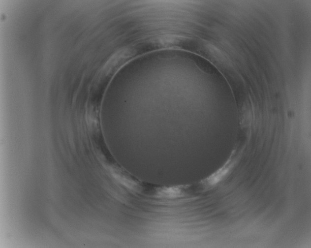 X0000075900140200609221946