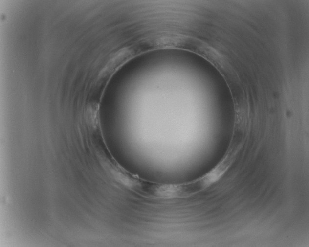 X0000075900142200609221946