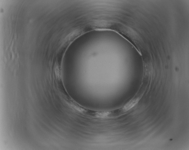 X0000075900143200609221946