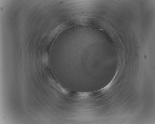 X0000075900144200609221946