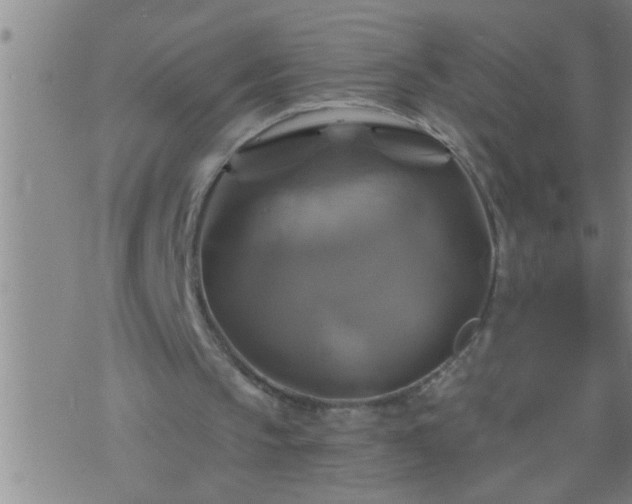 X0000075900145200609221945