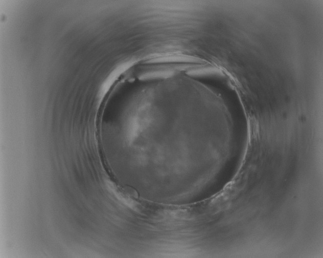 X0000075900147200609221945