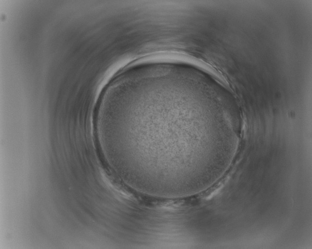 X0000075900148200609221945