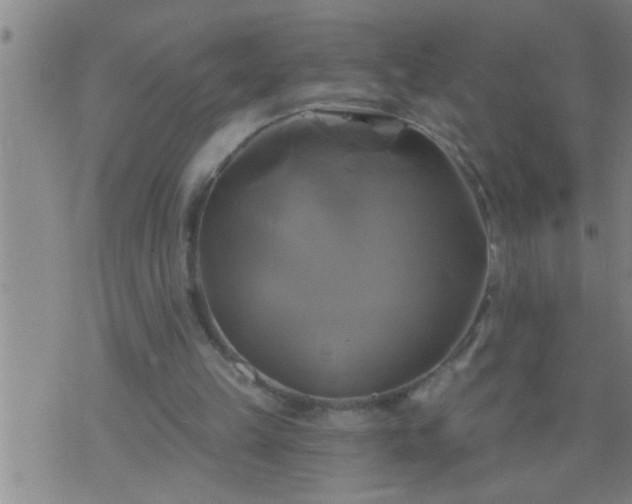 X0000075900149200609221945