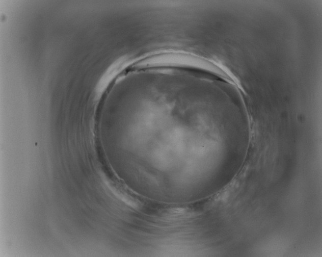 X0000075900151200609221945