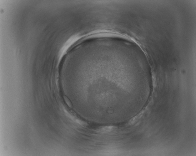 X0000075900152200609221945