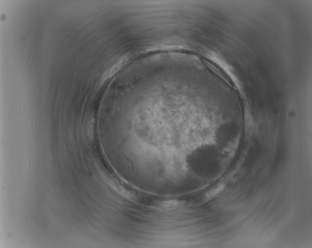 X0000075900153200609221945