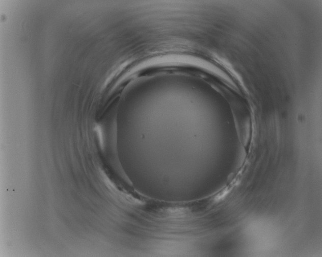 X0000075900154200609221945