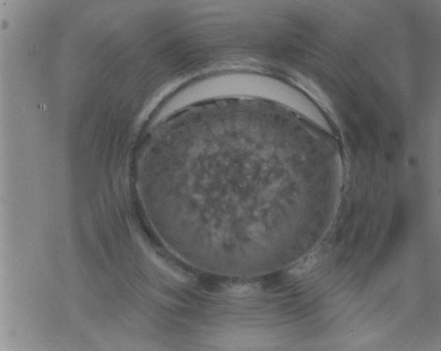 X0000075900155200609221945