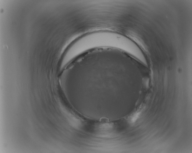 X0000075900156200609221945