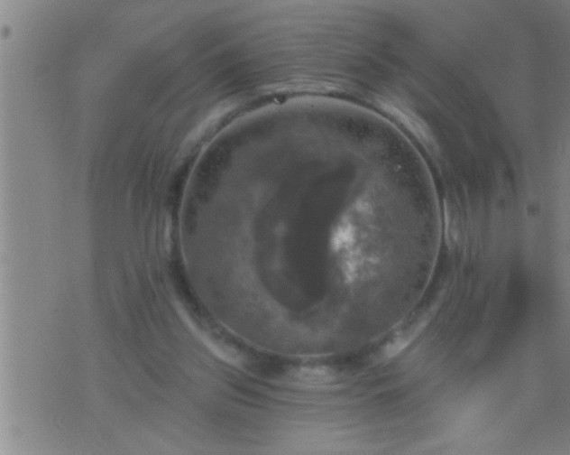 X0000075900157200609221945