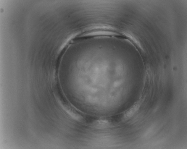 X0000075900159200609221945