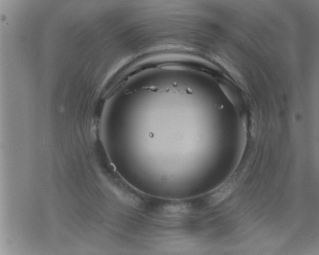 X0000075900160200609221945