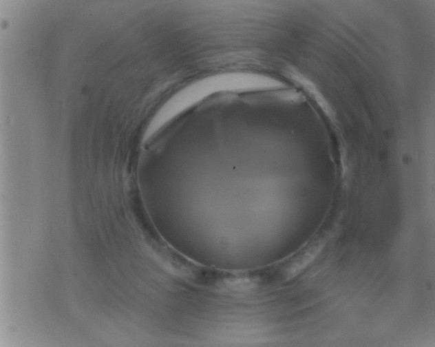 X0000075900161200609221945