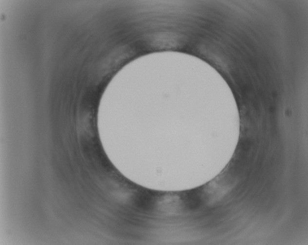 X0000075900162200609221945