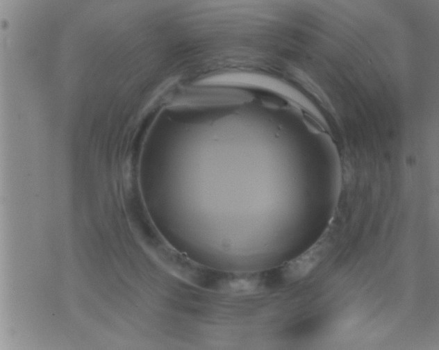 X0000075900163200609221945