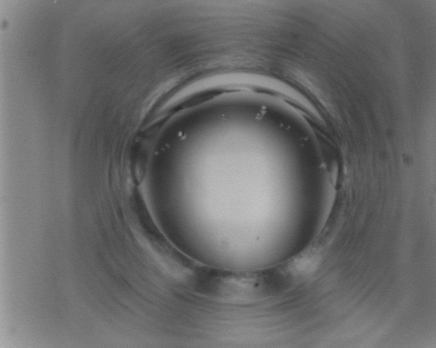 X0000075900164200609221945