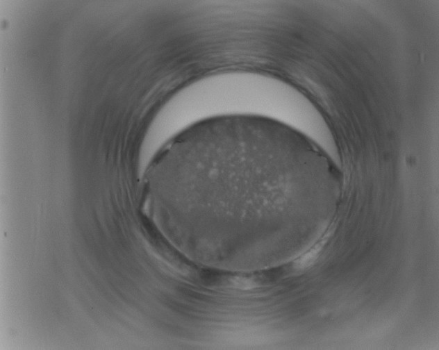 X0000075900166200609221945