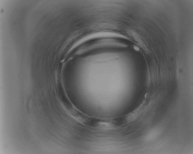 X0000075900167200609221945