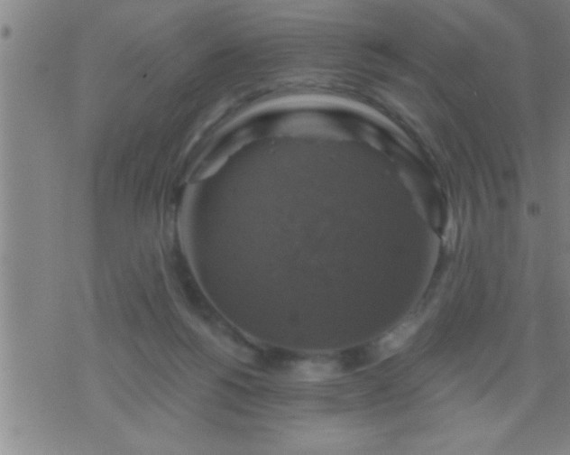 X0000075900168200609221945