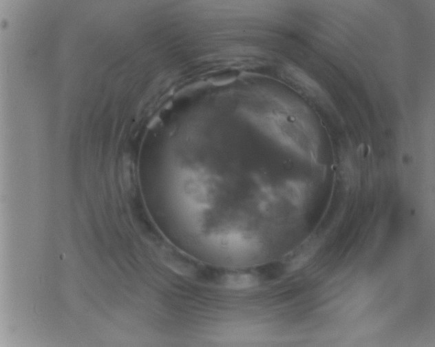 X0000075900169200609221945