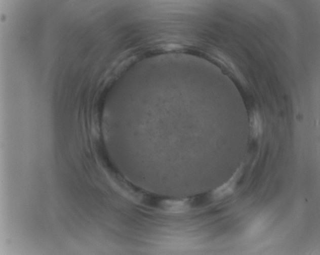 X0000075900170200609221945