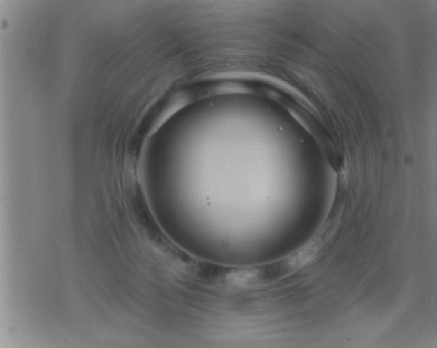 X0000075900172200609221945