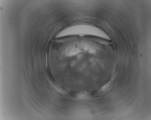 X0000075900175200609221946