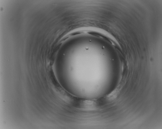 X0000075900176200609221946