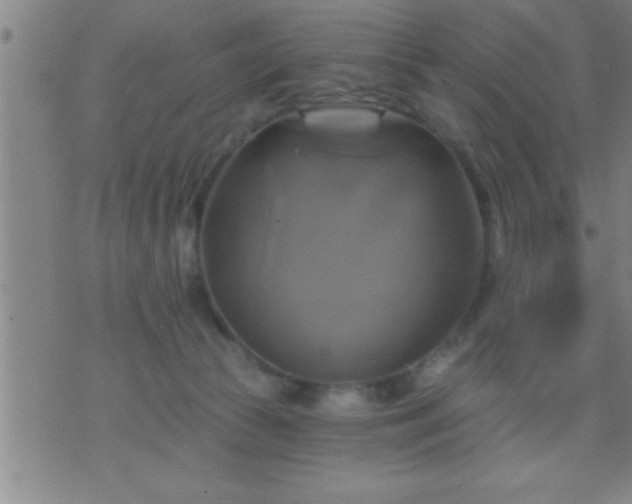 X0000075900177200609221946