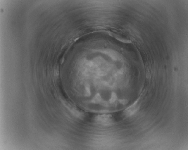 X0000075900179200609221946