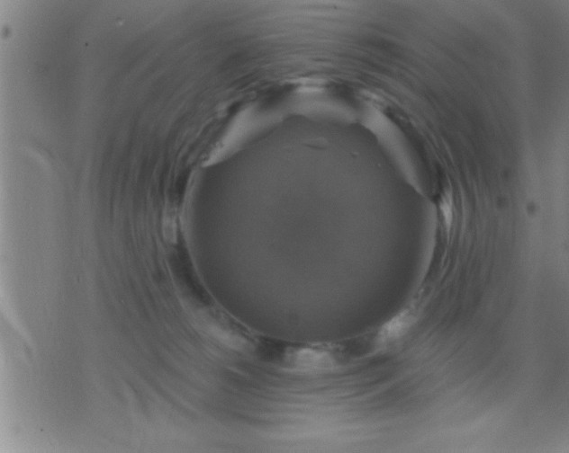 X0000075900180200609221946